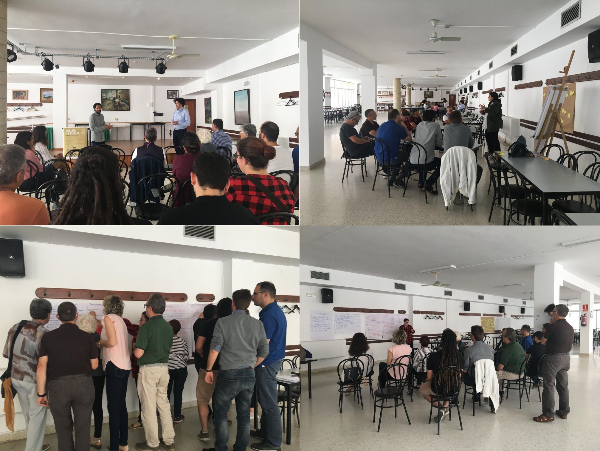 Participación