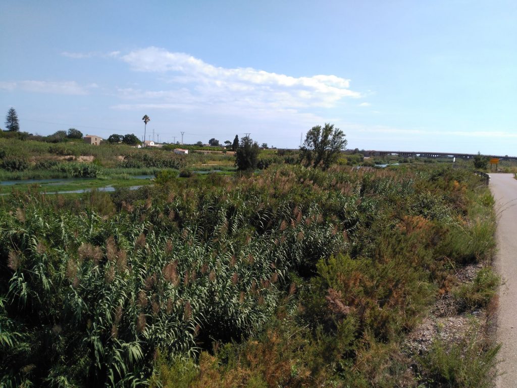 Estudio de inundabilidad en el entorno de la Alquería Mascarós en Burriana (Castellón) -Río Mijares-