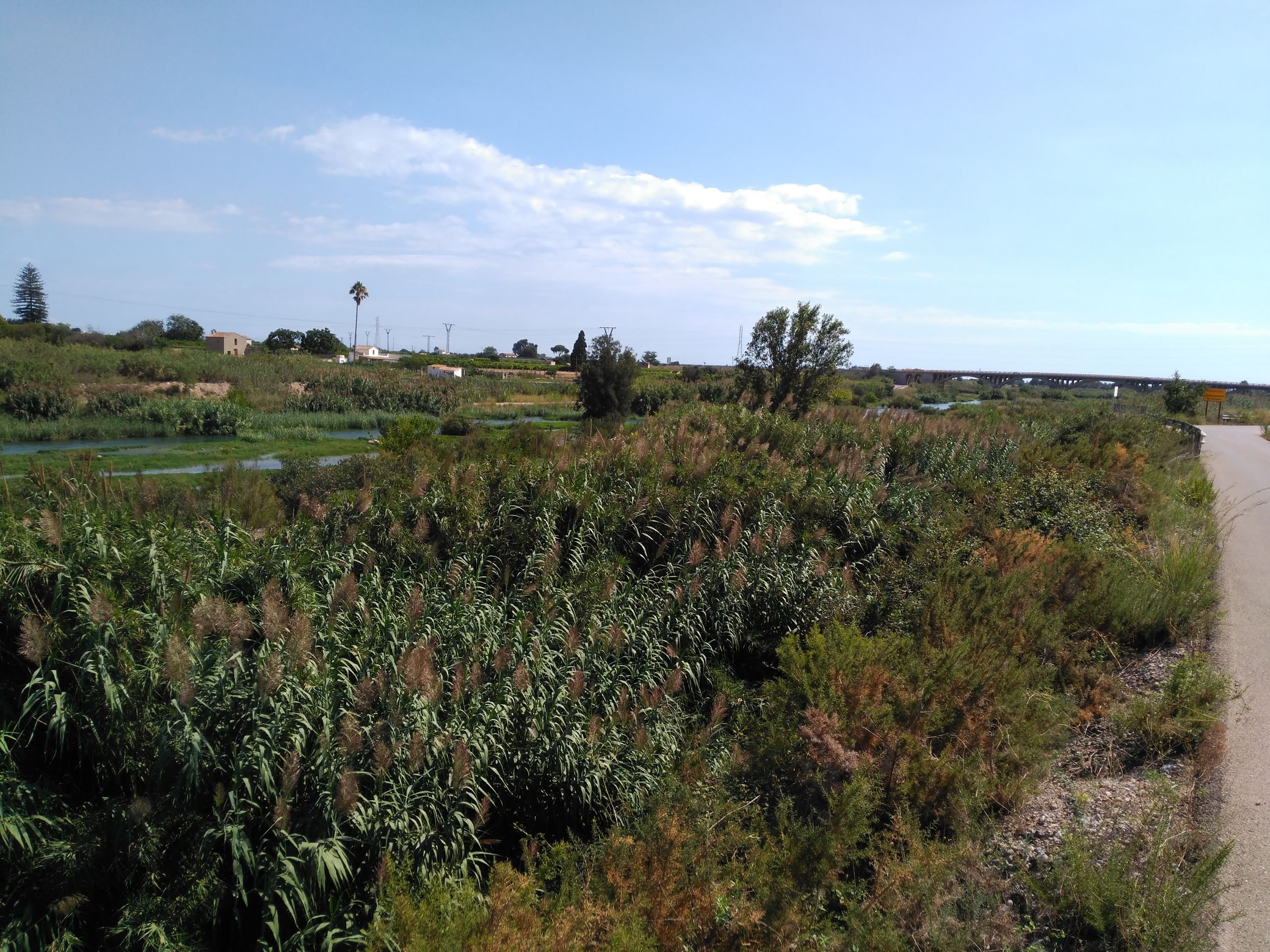 Estudio de inundabilidad en el entorno de la Alquería Mascarós en Burriana (Castellón) -Río Mijares-