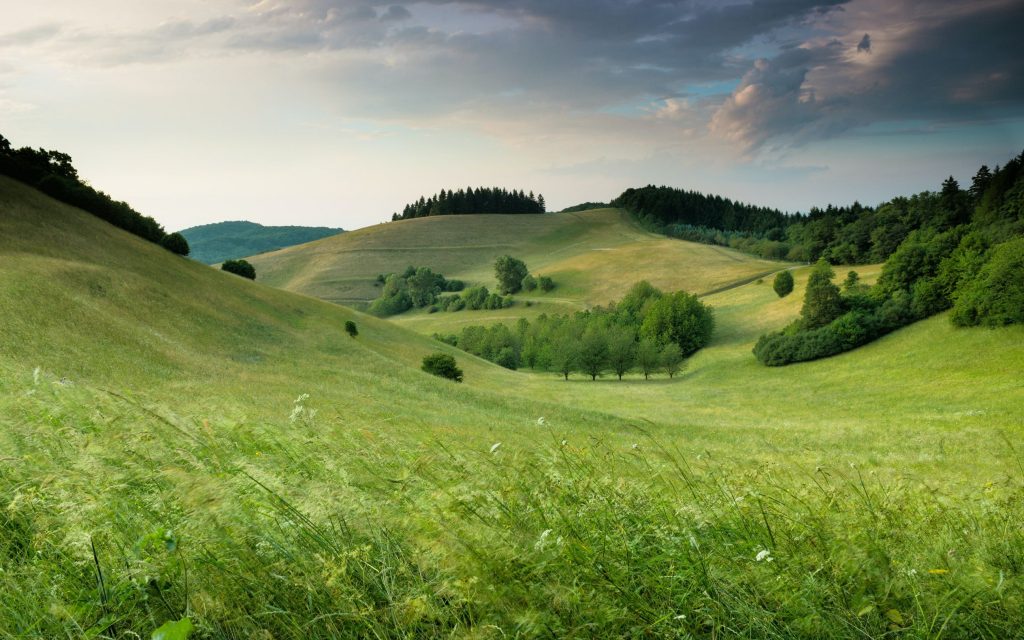 servicio_paisaje